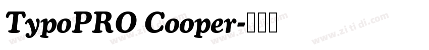 TypoPRO Cooper字体转换